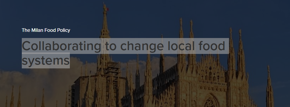 EMF, a case study: the Milano food policy