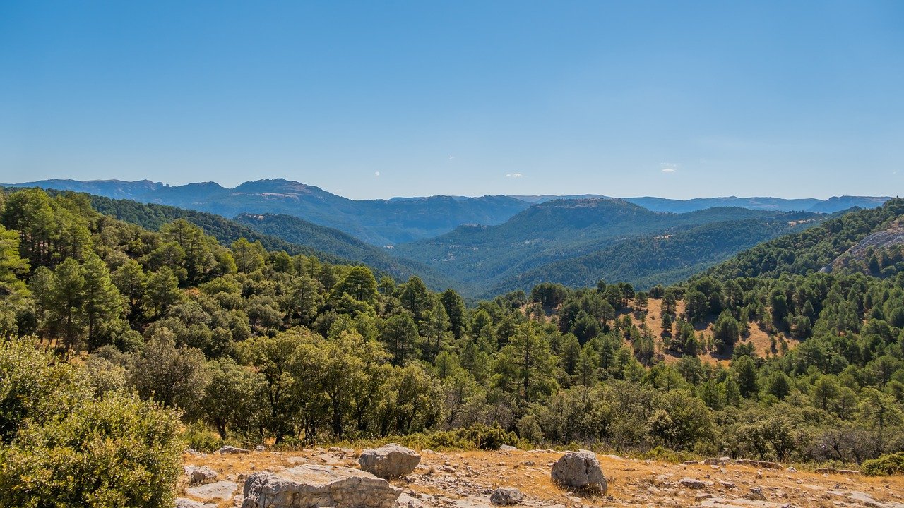 Extremadura Forest Plan to boost bioeconomy