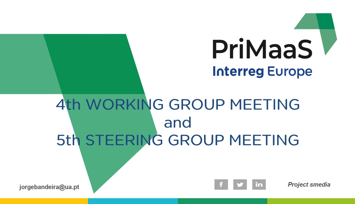 Steering and Working Group Meeting