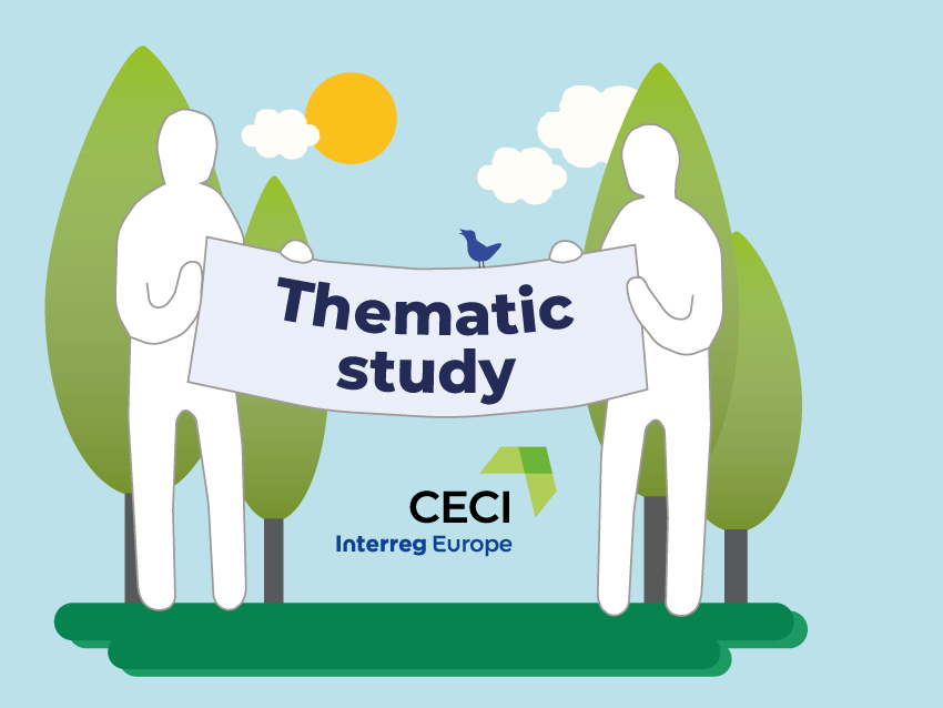CECI summary of thematic study 1