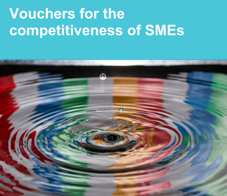Policy Brief on ‘Vouchers on SME competitiveness’