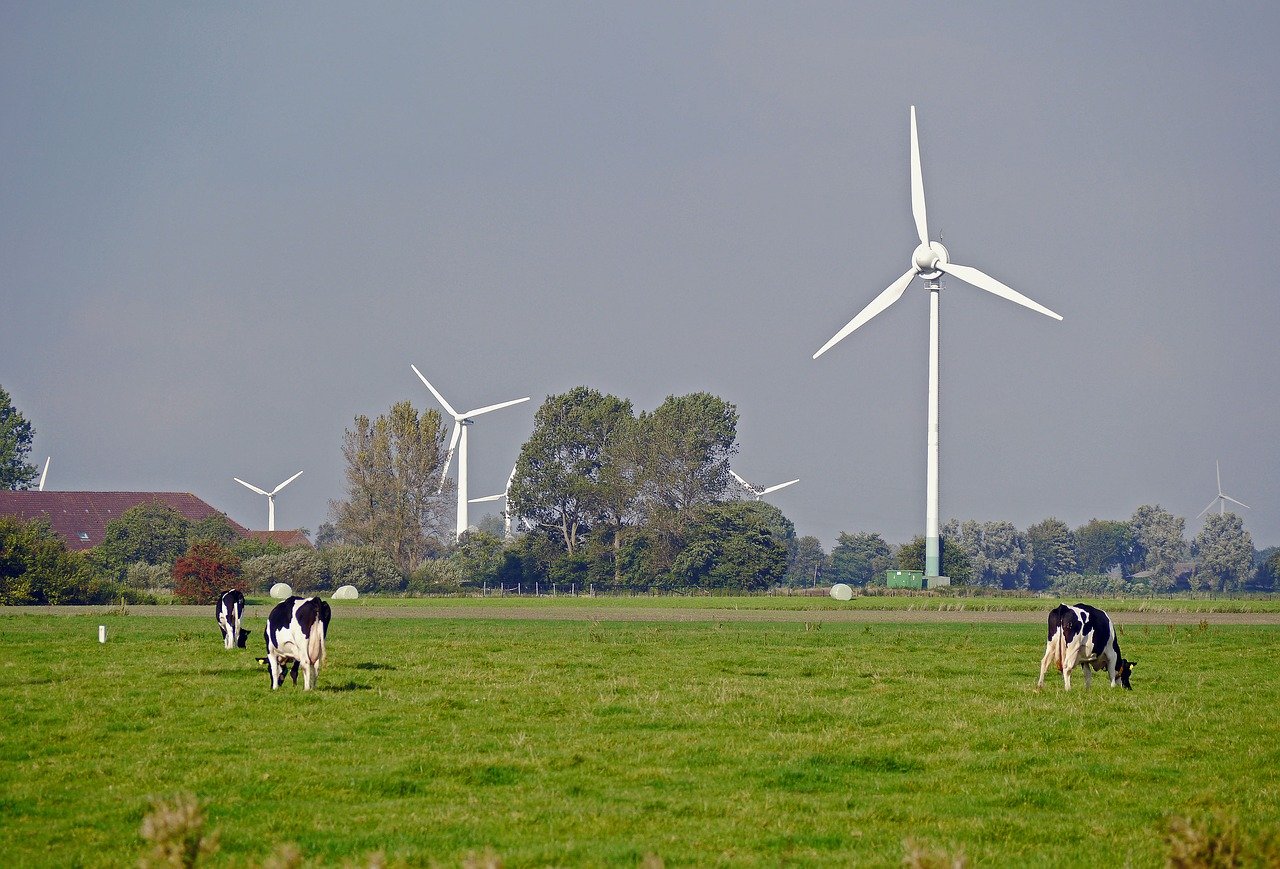 Romania: new financing for renewables in agriculture