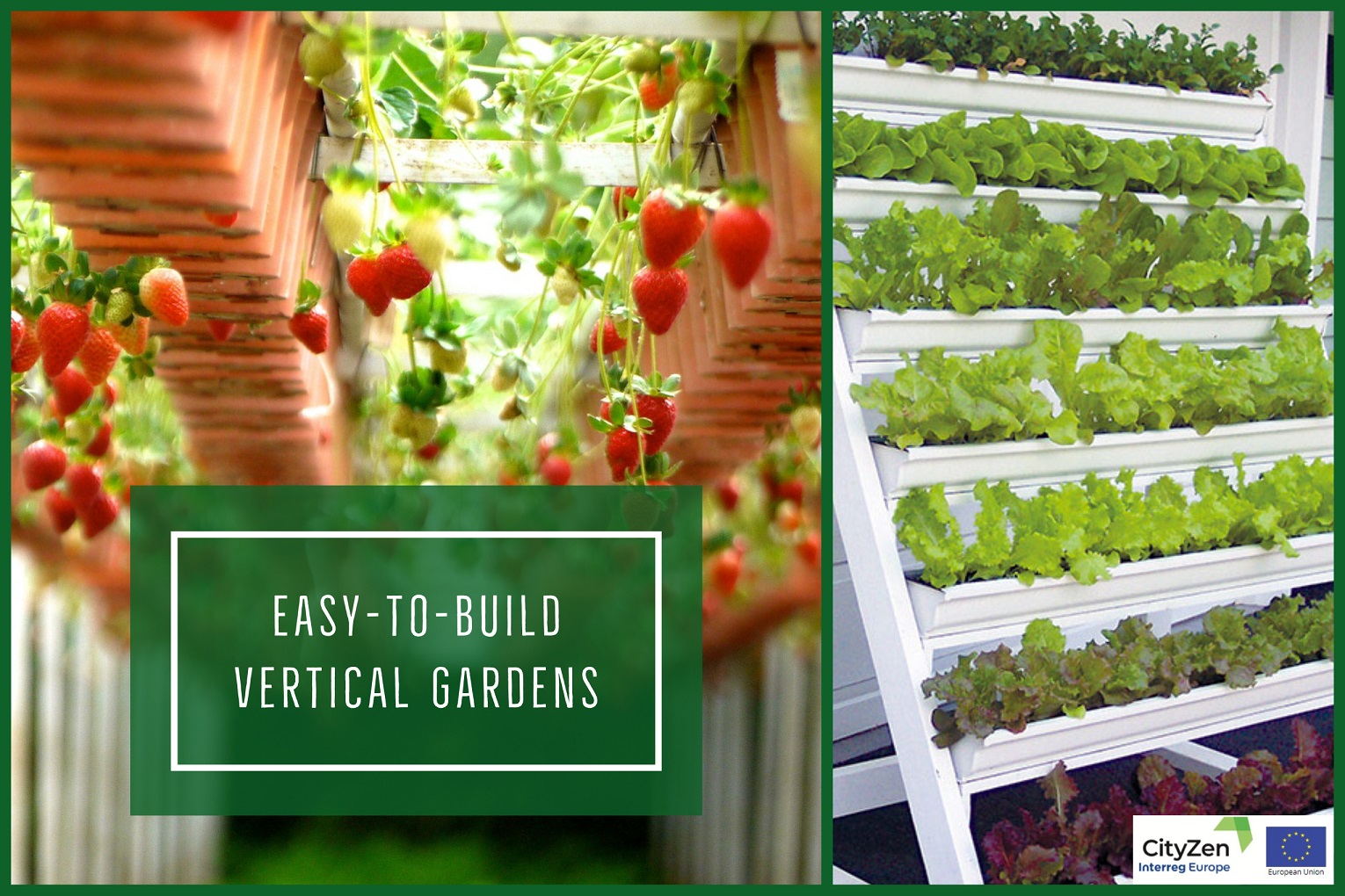 CityZen pilot to co-create DIY vertical gardens