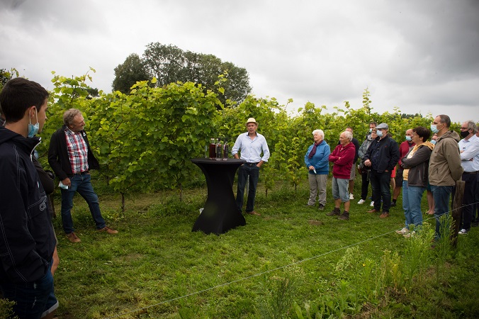 East Flemish wine tour
