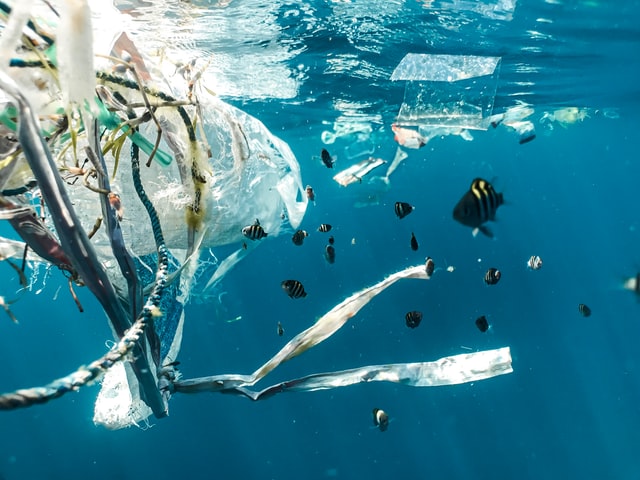 Toward a world-level treaty on plastic pollution