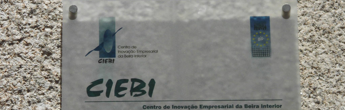 Beira Interior tackles challenges of digitalisation