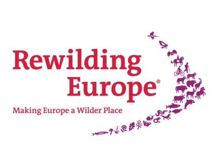 Report 'Pioneers in rewilding enterprises'