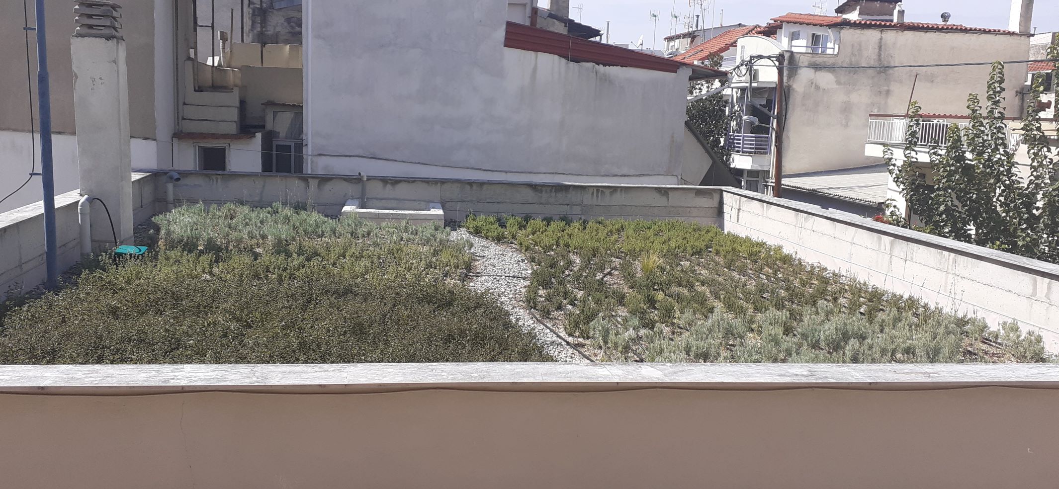 Green roofs action in Central Macedonia