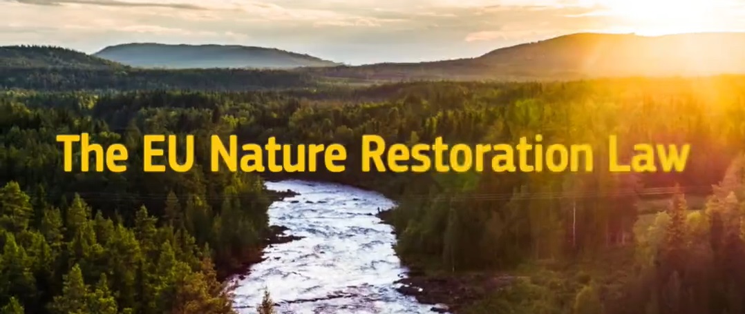 Nature restoration law