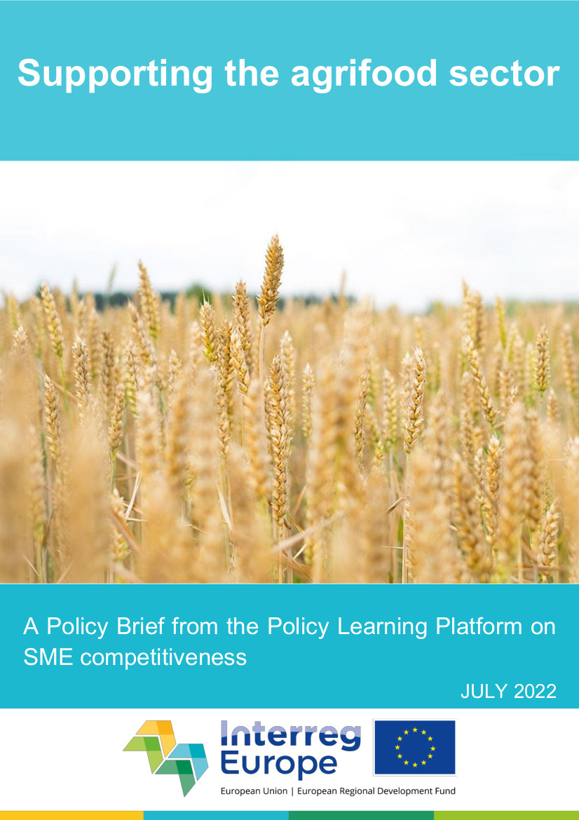Policy Brief on Supporting the agrifood sector