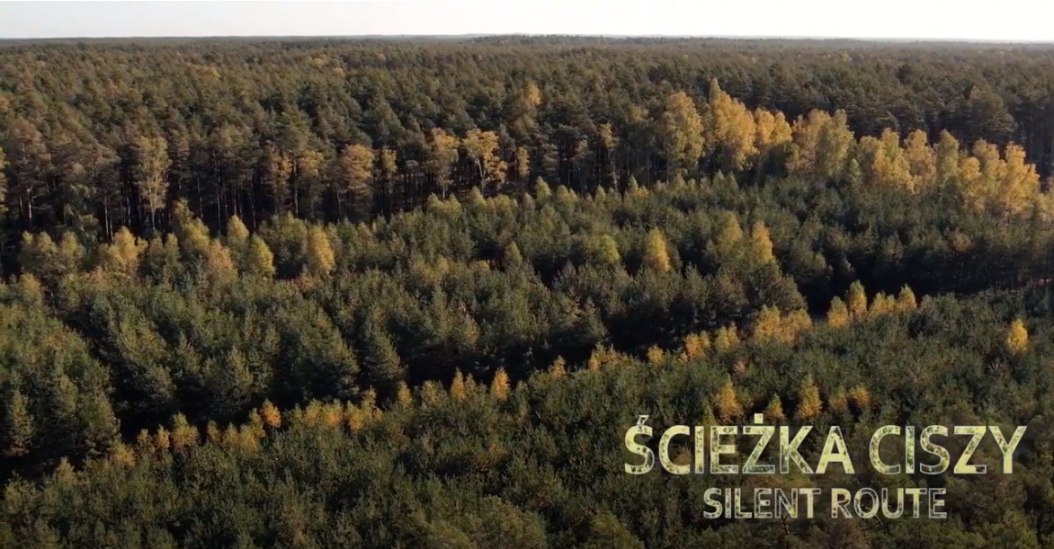 Silence trail in Wdecki Landscape Park